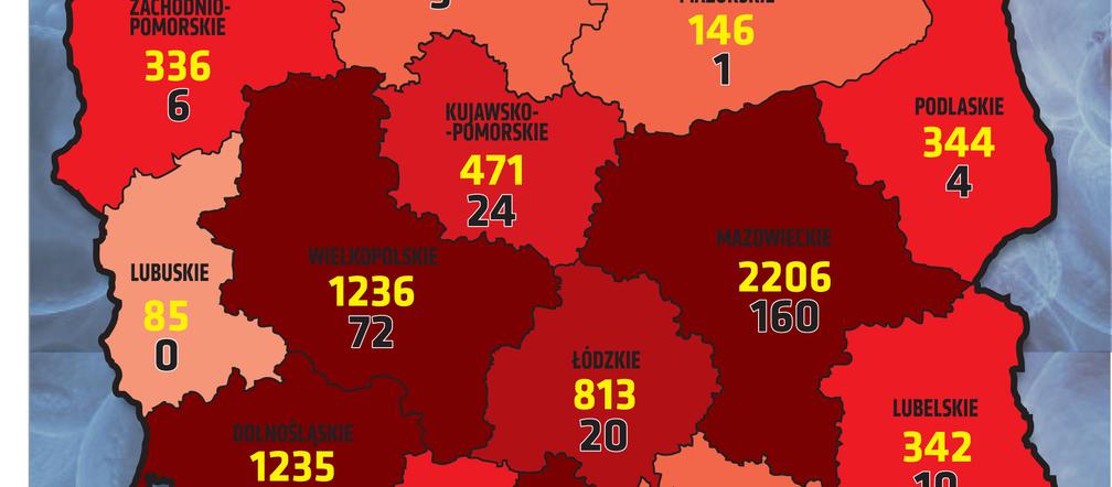 Koronawirus w Polsce: 24.04.2020 godz. 18
