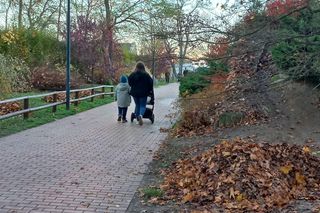​Statek dla dzieci w Parku Tysiąclecia w Lesznie odzyska dawny blask. Wymienią stare elementy placu zabaw, dołożą nowe