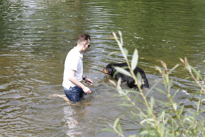 Poseł kąpał się z psem