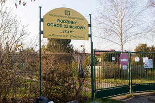 1000 zł za głowę kociego mordercy