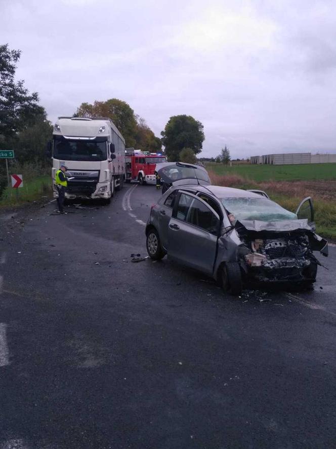 Śmiertelny wypadek pod Pajęcznem. Kierująca toyota i jej pasażer nie żyją [ZDJĘCIA]