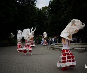 Impreza Wianki nad Krzną odyła się w Łukowie już po raz siódmy