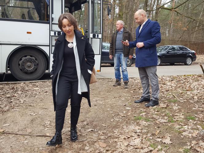Posadzili kawałek lasu w miejscu wyciętego