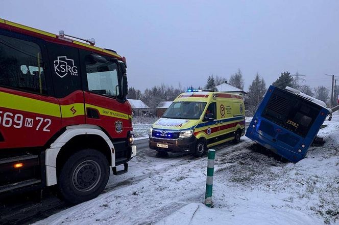 Pasażerowie przeżyli prawdziwe chwile grozy. Autobus zjechał do rowu i uderzył w słup!