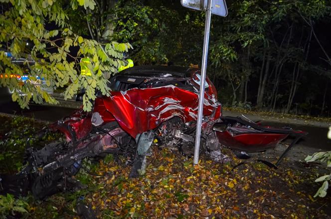 Mercedes Klasy E uderzył w drzewo, nie żyje kierowca
