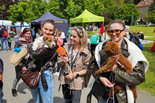 Festiwal Przyjaciół Zwierząt w Olsztynie. Park Centralny opanowały pieski