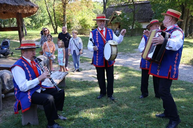 W skansenie w Lublinie pokazali, jak dawniej wyglądały wykopki kartoflane