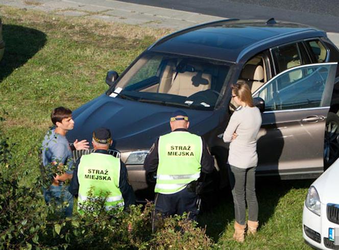 Małgorzata Socha rozjechała trawnik i dostała mandat