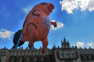 Parada Smoków odbyła się pod hasłem W 40 smoków dookoła świata