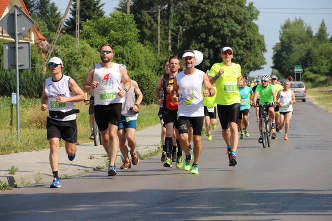 Kraśnik w formie