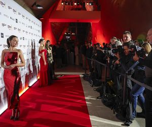 Wszyscy patrzyli tylko na nią! Dębska skradła show na gali Telekamer