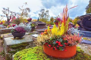 Dodaj kilka kropel do wazonu. kwiaty na cmentarzu wytrzymają o wiele dłużej!