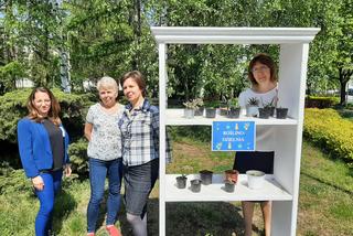 Roślinodzielnia w Swarzędzu. Można się tam wymieniać kwiatami, sadzonkami i nasionami