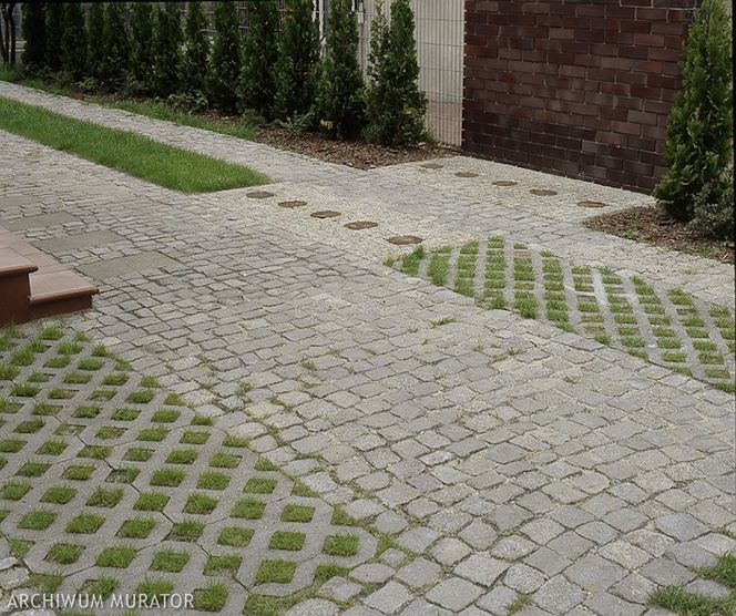 Nawierzchnia połączona z roślinami: trawa lub rośliny ozdobne w nawierzchni