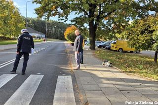 Zielona Góra. Basia miała tylko 14 lat, zginęła potrącona przez seata. Poruszający widok na miejscu tragedii