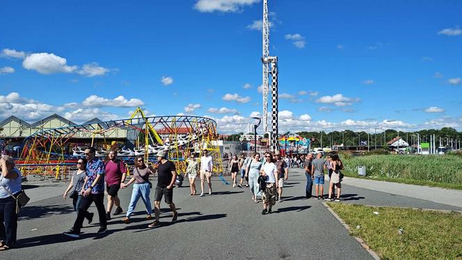 Wrocławski Festiwal Dobrego Piwa. Wielkie święto piwoszy przy stadionie 