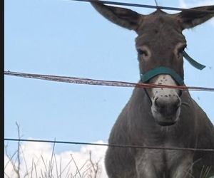 Roxie wygina się jak kocica, ale wszyscy i tak patrzą tylko w jedno miejsce! Mamy zdjęcia