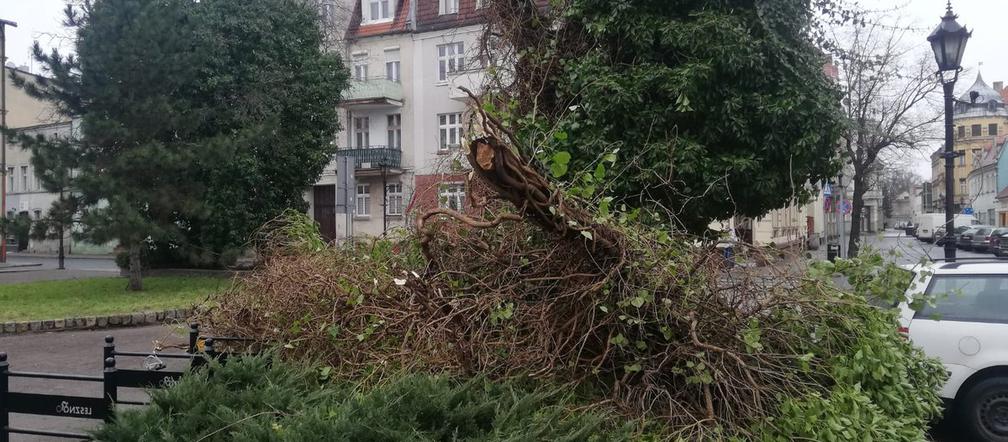 Trwa szacowanie szkód po wichurze nad Lesznem