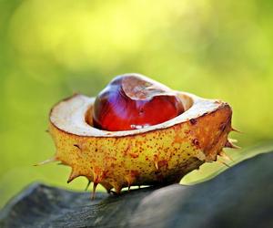 Jaka będzie jesień 2024? Synoptycy przedstawili modele pogodowe na kolejne miesiące