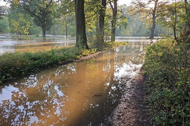 Powódź w gminie Szprotawa 