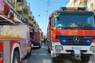 Ogień w mieszkaniu w centrum Szczecina. Cztery osoby poszkodowane, jedna nie żyje [WIDEO]
