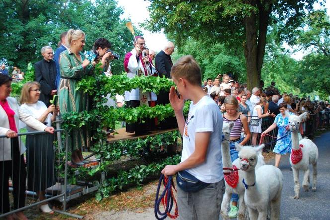 Mikstacka Arka Noego. Błogosławieństwo zwierząt podczas odpustu św. Rocha w Mikstacie