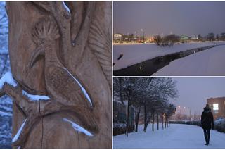 Drewniane rzeźby nad Bystrzycą w Lublinie okryły się białym puchem. Zobaczcie zdjęcia ze spaceru nad rzeką!
