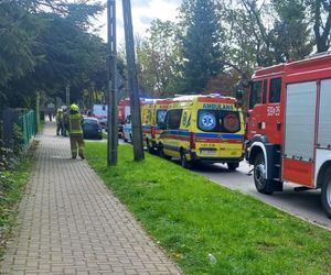 W domu znaleziono ciała trzech osób i dwa martwe psy