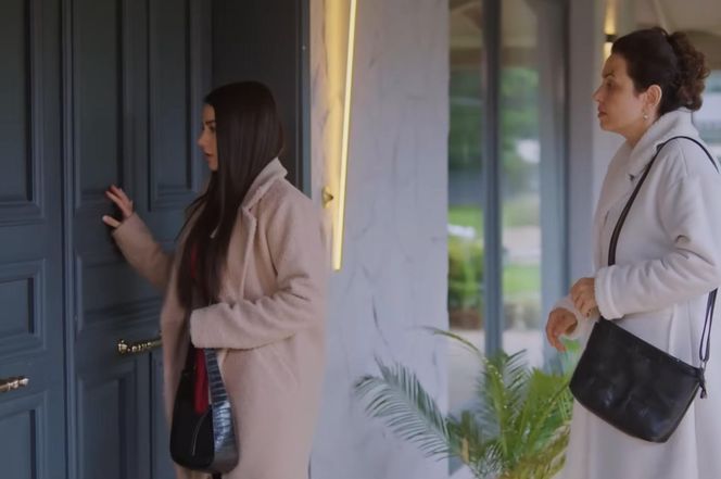 Miłość i nadzieja, odcinek 332. Cavidan, Bahar