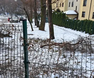 Kolejny akt wandalizmu w Bielsku-Białej. Tym razem zdewastowano Zielony Zakątek. Znowu 