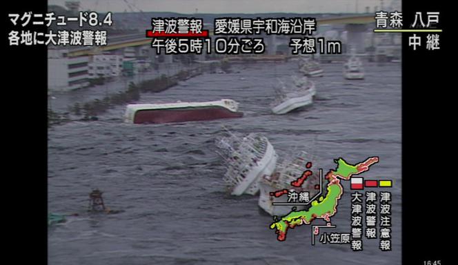 Trzęsienie ziemi i tsunami w Japonii