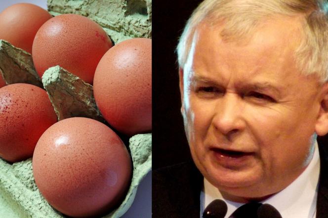 Jarosław Kaczyński obrzucony jajami
