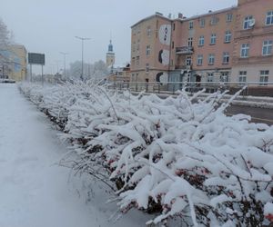 Leszno wygląda bajkowo! Na walentynki sypnęło śniegiem