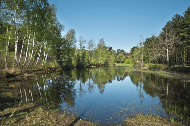 Otwock – ok. 12 050 zł/m²