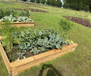 Wyjątkowe miejsce w Wólce Konopnej. Farma toMy dla osób z niepełnosprawnością