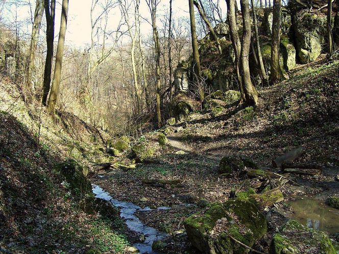 Las Wolski to wykapany Zakazany Las ze świata czarodziejów.