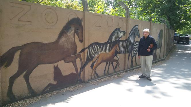 Malarz sam odnawia mural na ogrodzeniu wrocławskiego zoo