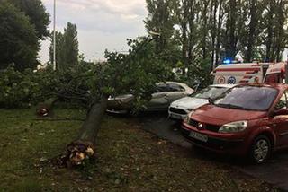 Skutki burzy w Rzeszowie