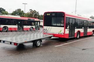 Pierwsze sezonowe linie autobusowe w Gdańsku kursują od majówki