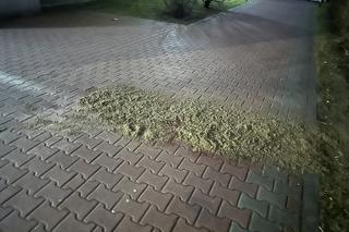 Dramat w Ursusie. Pod blokiem leżały kobiece zwłoki. Co się stało?!