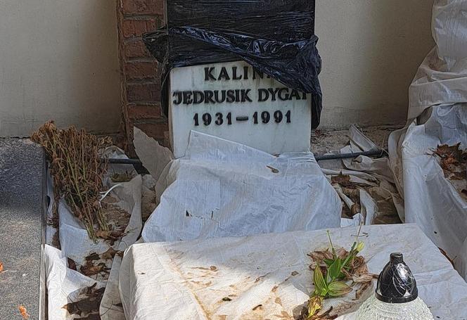 Remont Alei Zasłużonych na Starych Powązkach