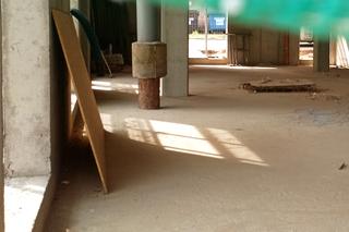 Słup wrósł w nowy budynek. Niecodzienna sytuacja w Szczecinie