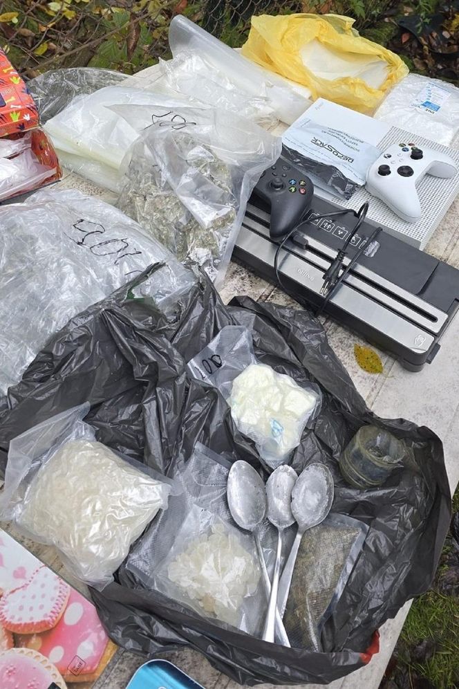 Nalot policji na ogródki działkowe. Zatrzymali 33-latka i jego żonę. 9-miesięcznę niemowlę wciągnięte w przestępczy proceder