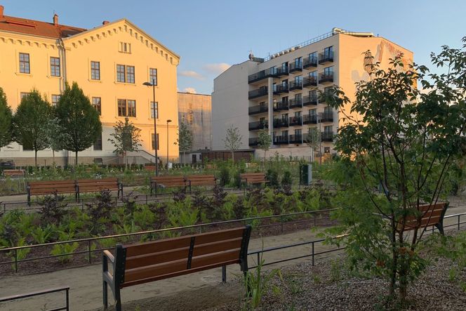 Park imienia Wisławy Szymborskiej przy ulicy Karmelickiej w Krakowie