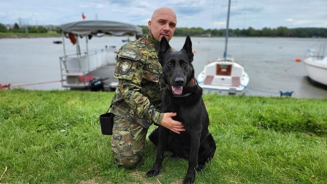 Szkolenie psów policyjnych nad Zalewem Zemborzyckim
