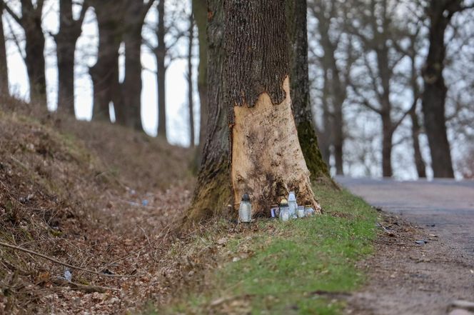 Tragiczny wypadek pod Dobrzykami. Mateusz zginął 400 metrów od domu