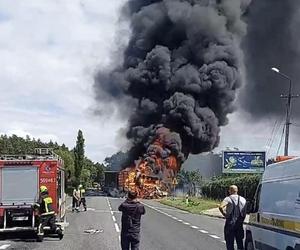 Dębówka. Tir zderzył się z osobówką. Oba pojazdy spłonęły!