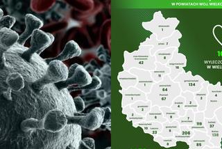 Koronawirus w Wielkopolsce. Zobacz, ile osób WYZDROWIAŁO [RAPORT]