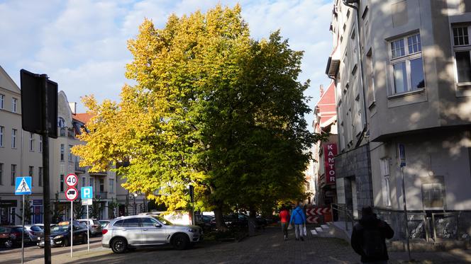 Kolorowe drzewa i klimatyczne kamienice. Ta ulica w Olsztynie zachwyca jesienią