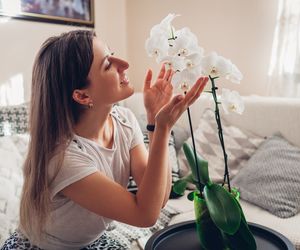 Florystka pokazała mi sposób na zmobilizowanie storczyka do kwitnięcia. Latem raz w tygodniu zabieram kwiat do domowego SPA. Rozrósł się i kwitnie, aż uginają się pędy